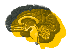 Preparació d'oposicions a Bomber - Racord Girona